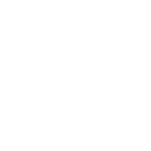 optimized icon white