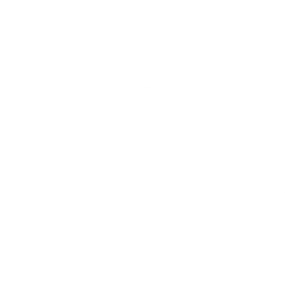 optimized icon white