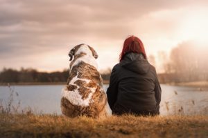 A Dog and A Girl