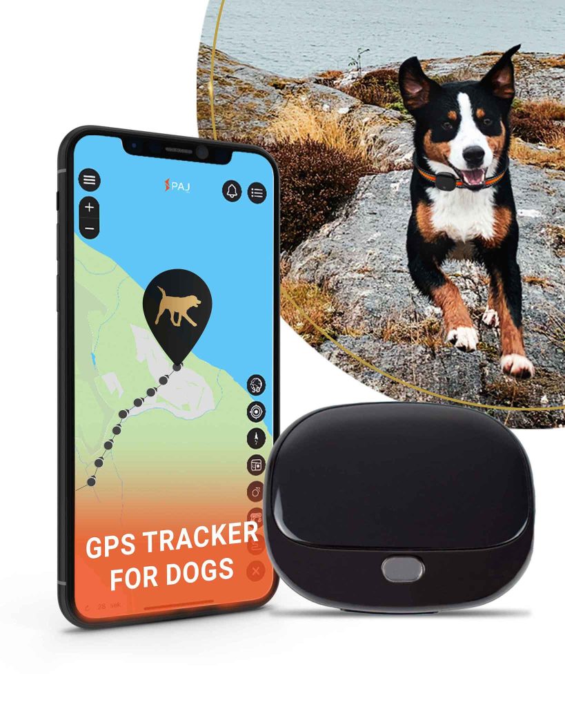 PET Finder 4G