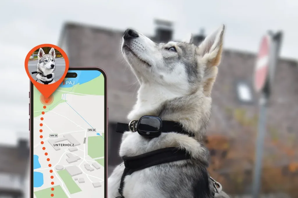 are pet trackers safe. tracker with a dog