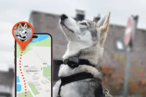 are pet trackers safe. tracker with a dog
