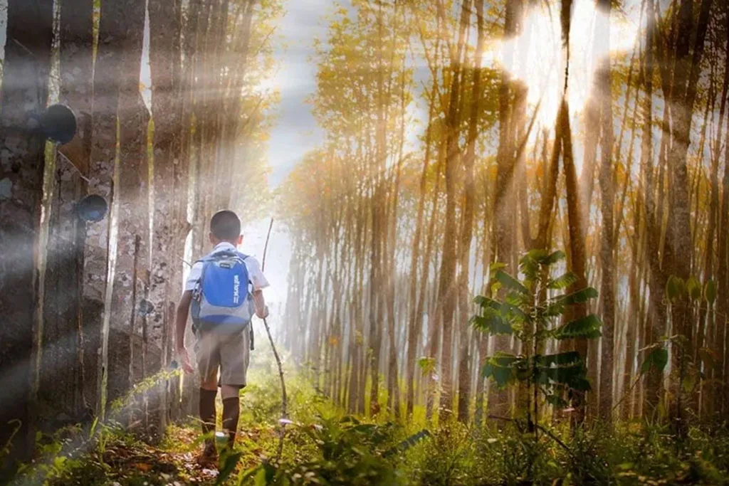 a kid walking through woods