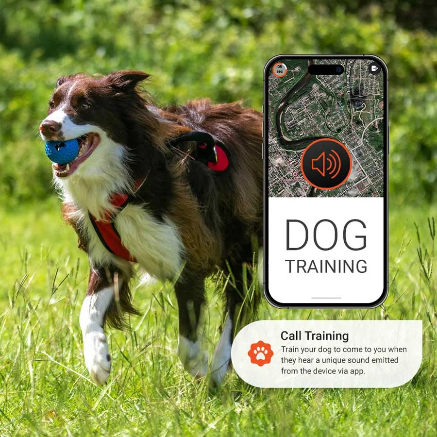 Paj Gps Tracker For Your Dog PAJ PET Finder 4G GPS Tracker For Dogs