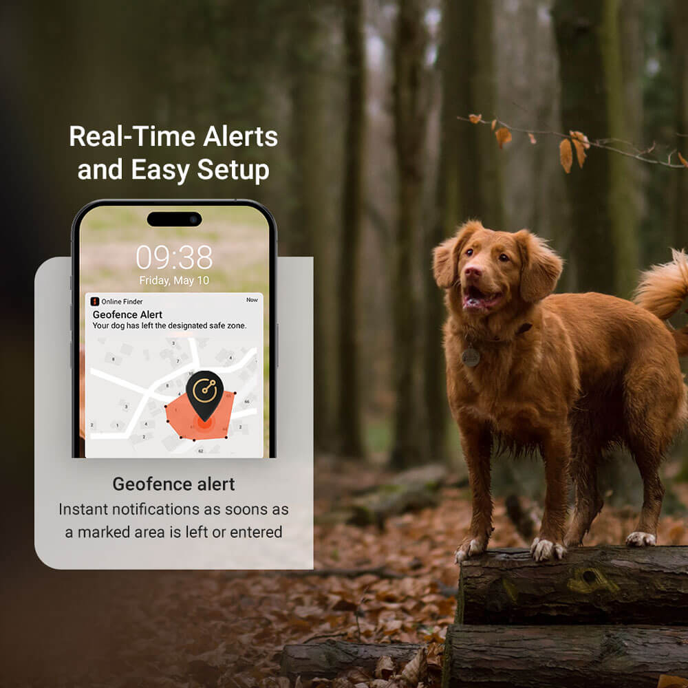 PAJ PET Finder 4G GPS Tracker For Dogs