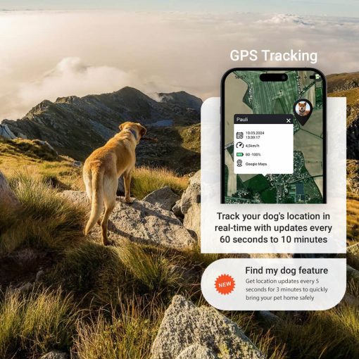 Find My Dog Feature GPS Tracking PAJ PET Finder 4G PAJ GPS Tracker