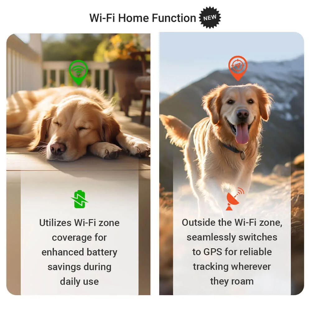 PAJ PET Finder 4G - GPS Tracker For Dogs