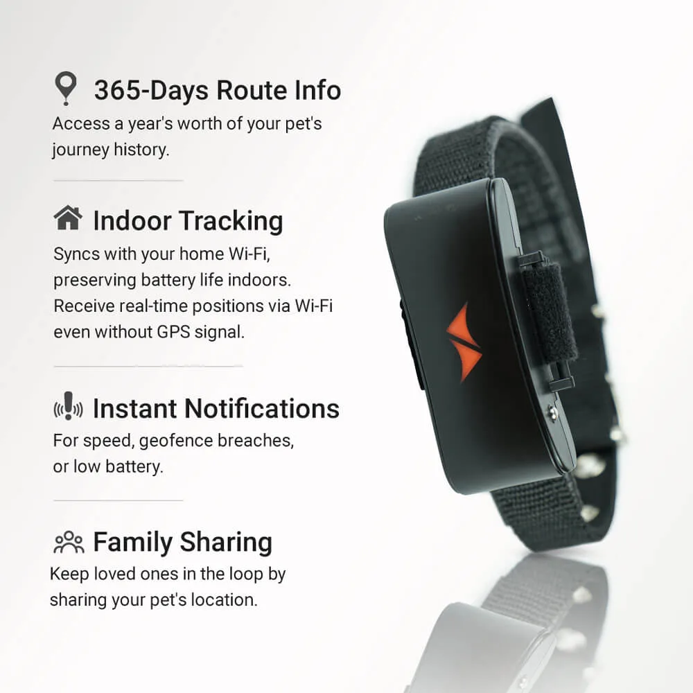 PAJ PET Finder 4G - GPS Tracker For Dogs