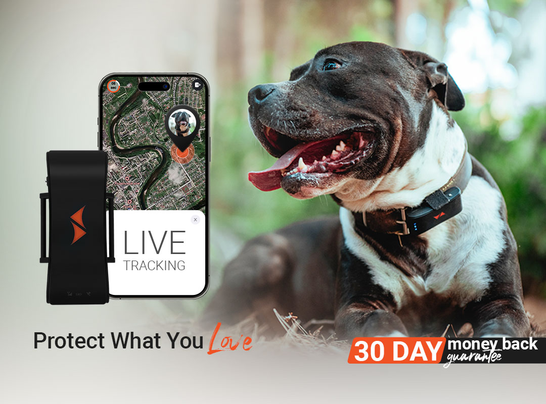 Gps dog tracker ireland clearance