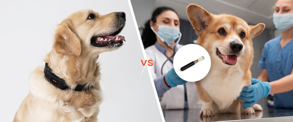 two dogs one tracked by PAJ GPS and another by chip. Harikrishnan Uploaded to: GPS Tracker vs Dog Tracker Chip: 5 Differences!