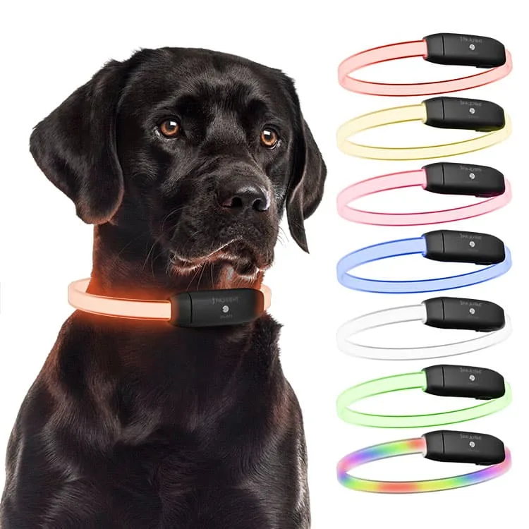 PAJ LIGHT black LED collar for dogs