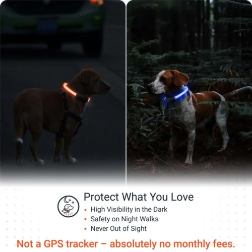 PAJ LIGHT black LED collar for dogs features