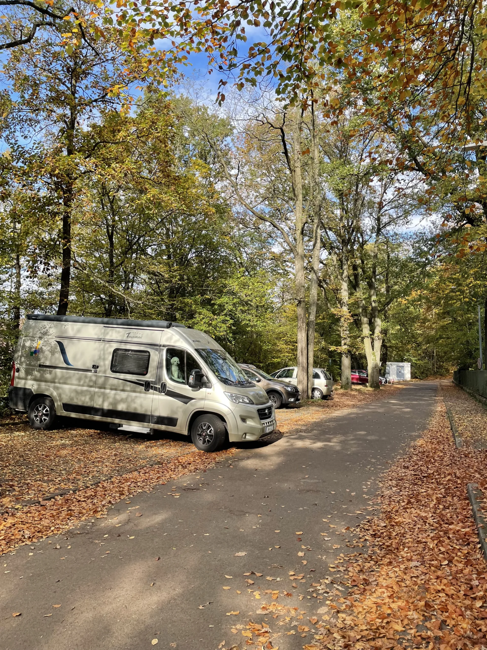 PAJ Camper Alexander Wolff