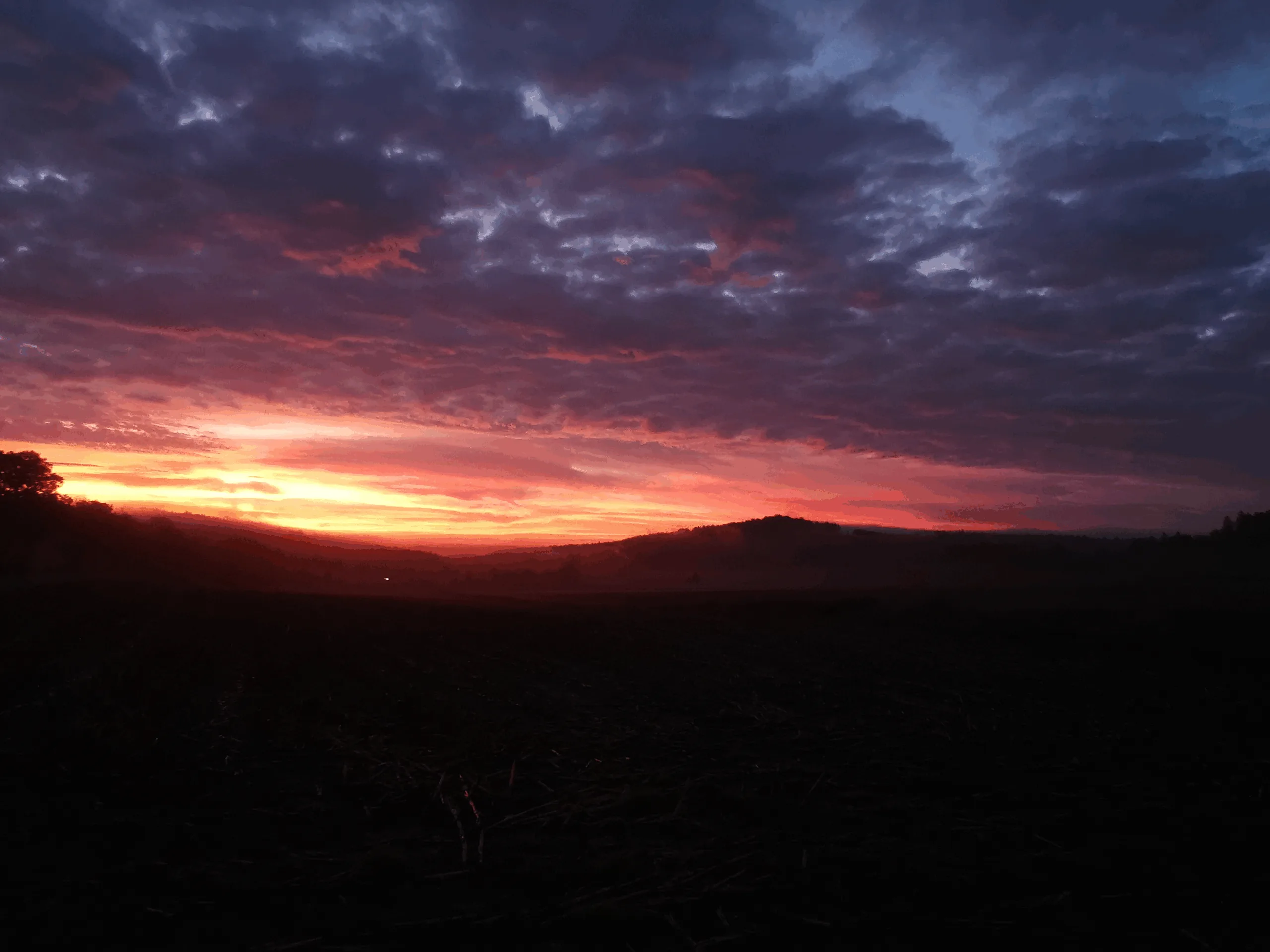 PAJ Stories car astroplay