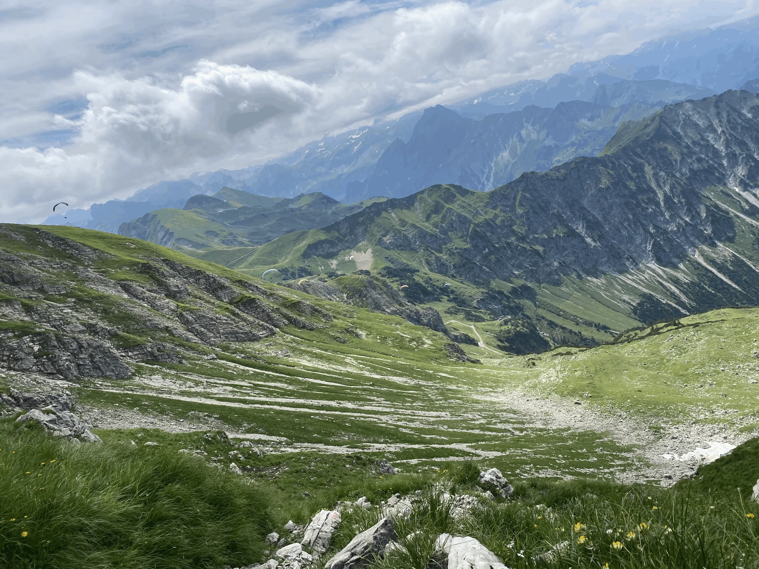 PAJ stories People finder