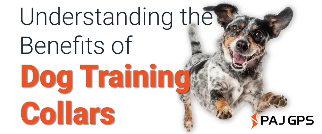 Understanding benefirts of canine training collars