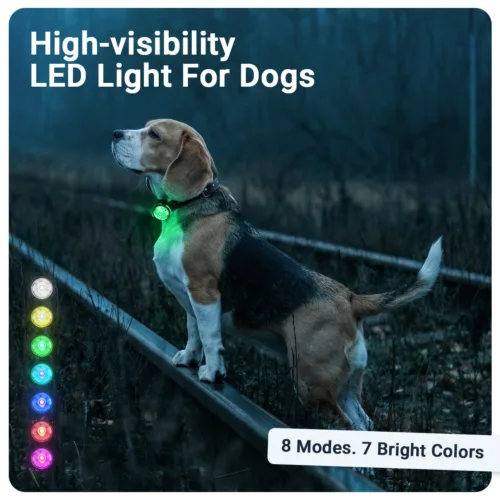 Gallery Images_PAJ Light Mini - EN - KB - 05 March 2026 - 2. 8 Modes