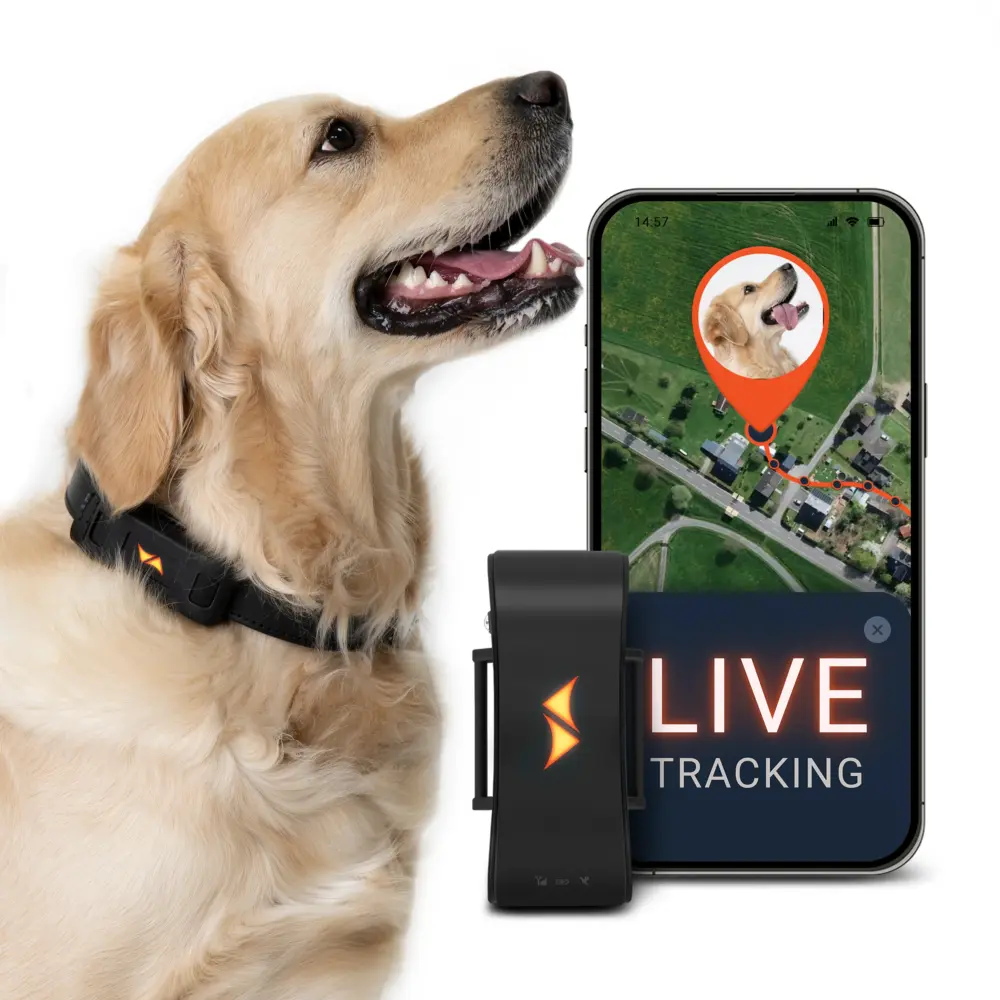 PAJ PET Finder 4G black