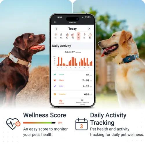 PAJ PET Finder 4G black